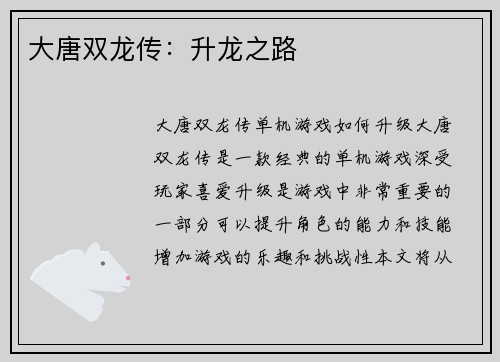 大唐双龙传：升龙之路